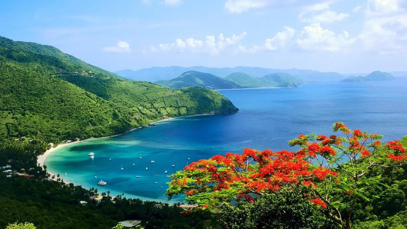 节能数字化自动化